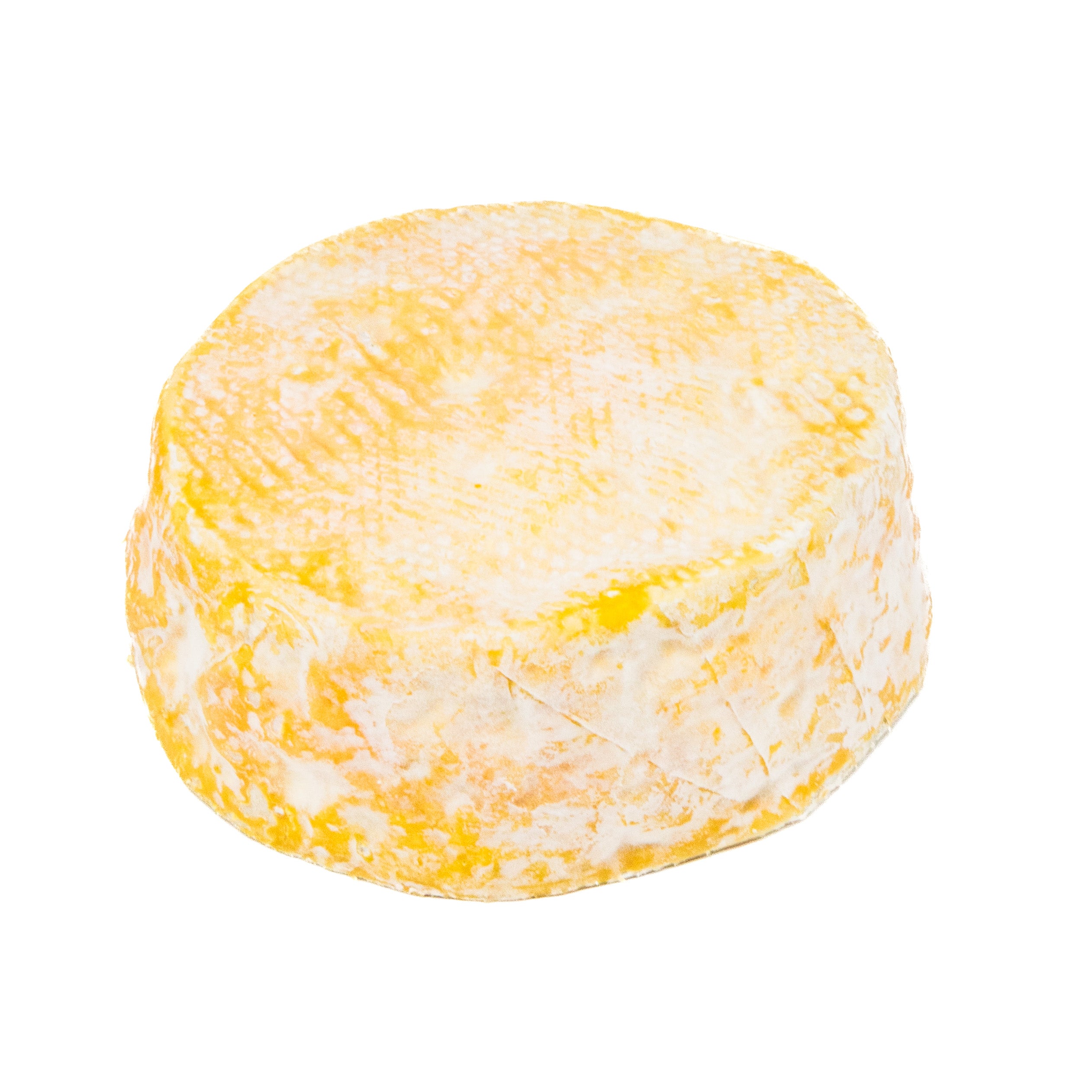 Round yellow and white cheese wheel on a white background