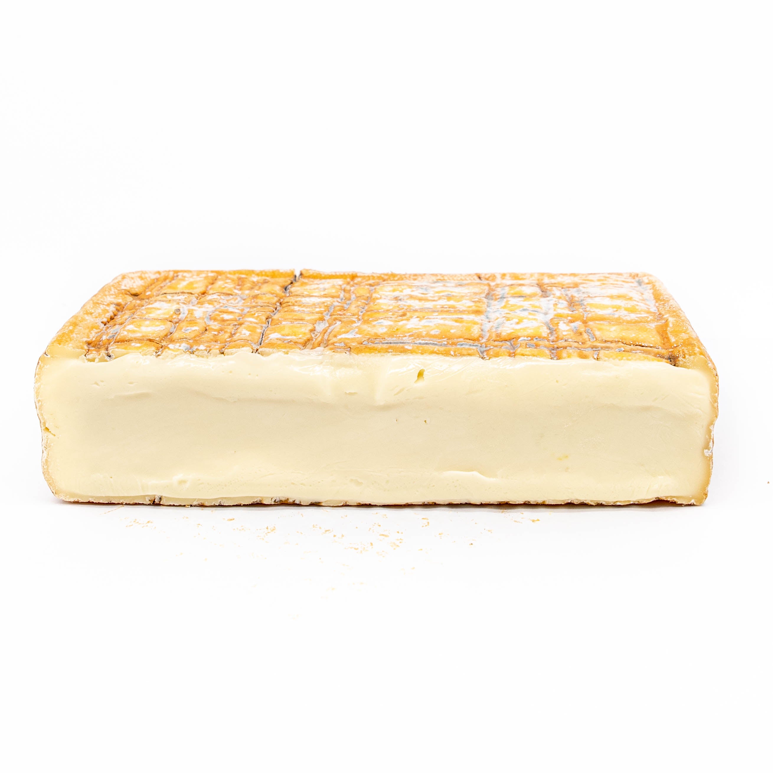 Taleggio